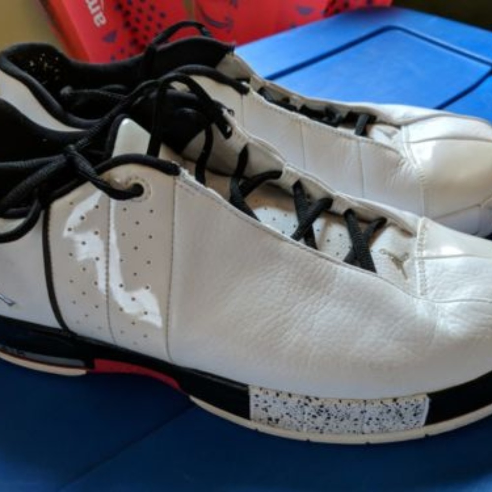 Nike Air Jordan Team Elite II Low White 2008 RARE